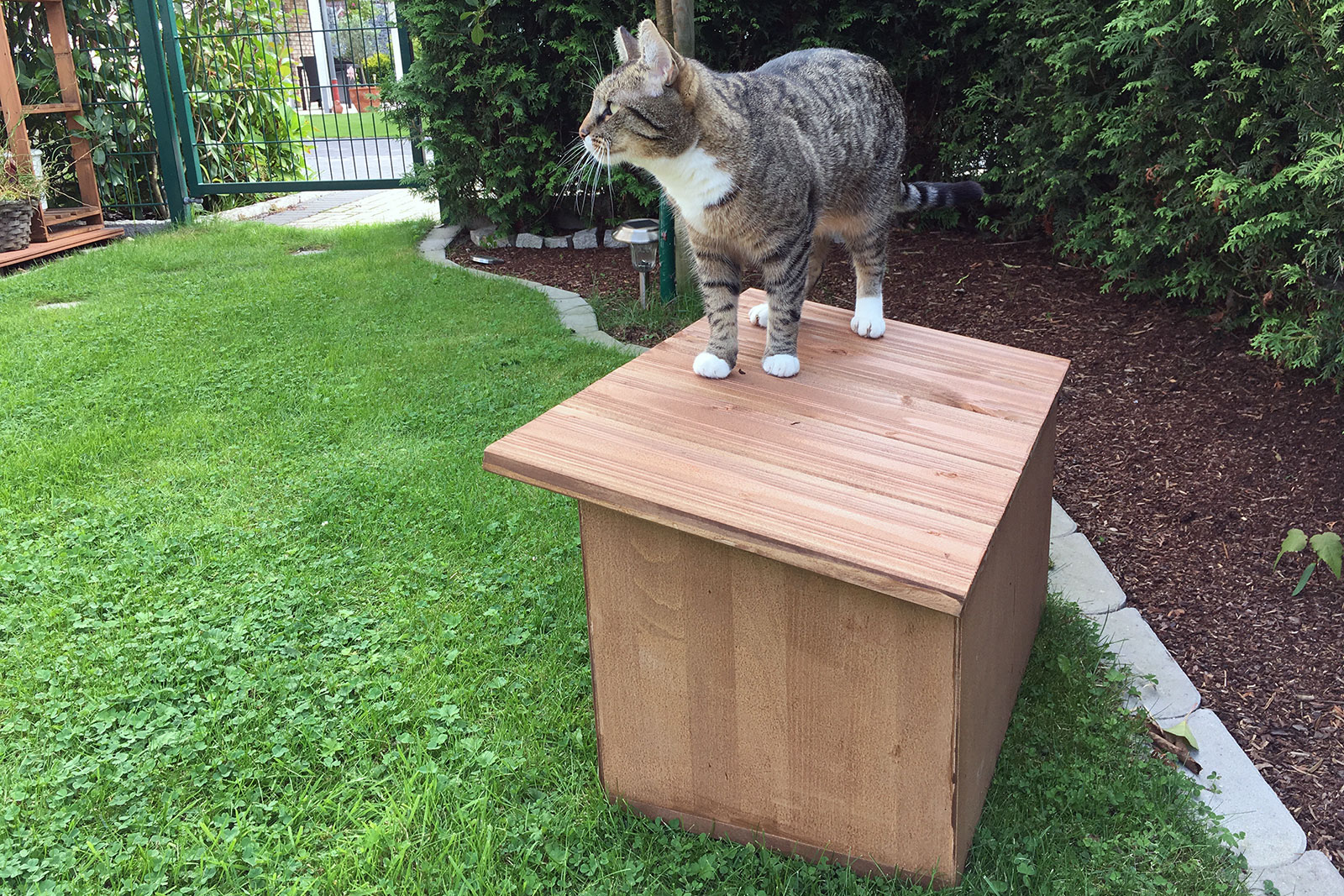 Kleines Katzenhaus aus Holz selber bauen - so geht's